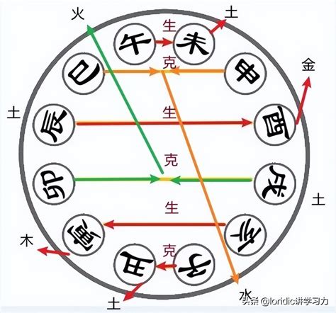 地支 合|地支